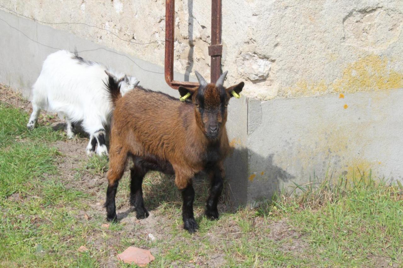 Crouy-sur-Cosson Ferme Des Poulardieres מראה חיצוני תמונה