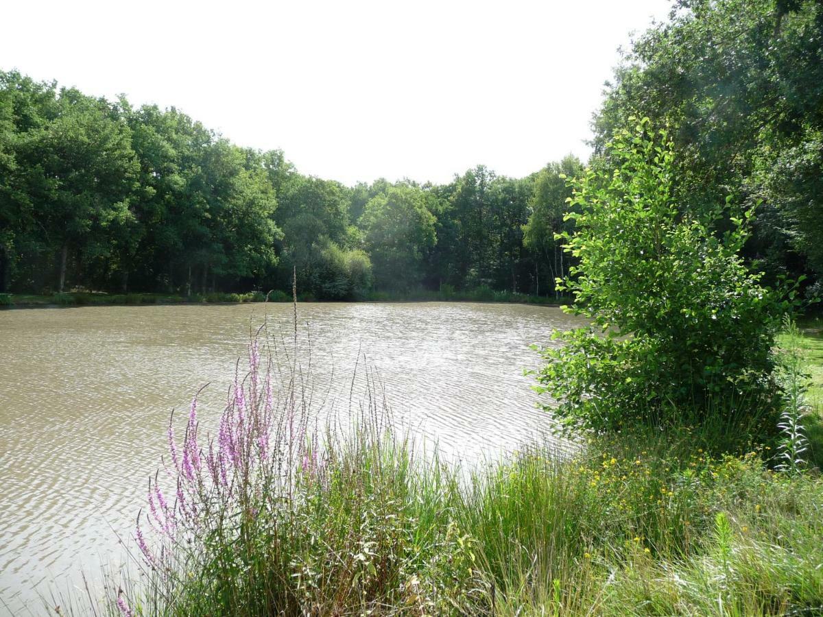 Crouy-sur-Cosson Ferme Des Poulardieres מראה חיצוני תמונה